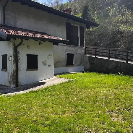 Calcar * Avenone