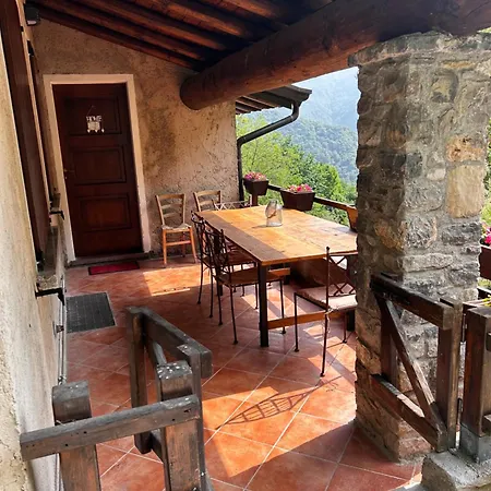 Calcar * Avenone