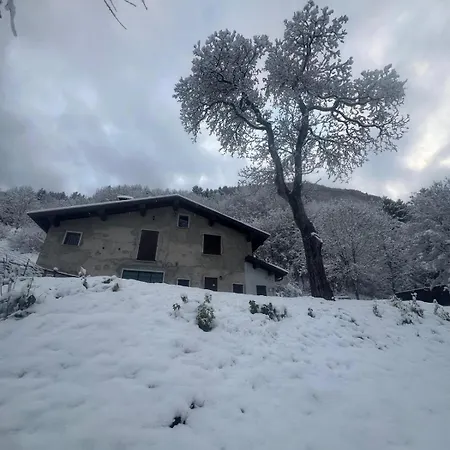 Calcar Avenone